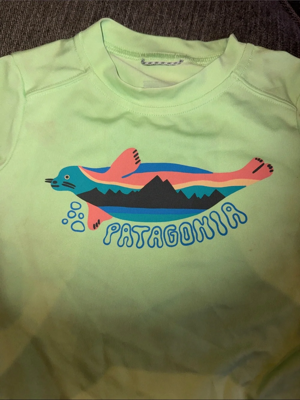 Patagonia Swimshirt with Pink & Blue Stripe Shorts